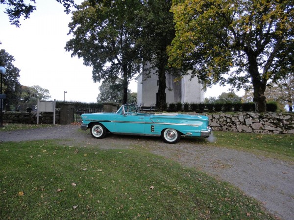 impala3